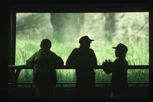 Hearst Foundations awards Woodland Park Zoo with $100K grant