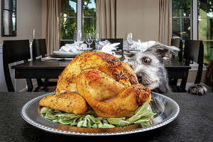 6 Thanksgiving foods that are safe for dogs