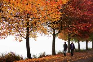 First day of autumn: Best bets for fall foliage in Seattle