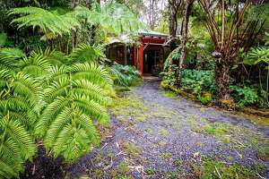 A hidden Big Island cottage offers a rainforest respite